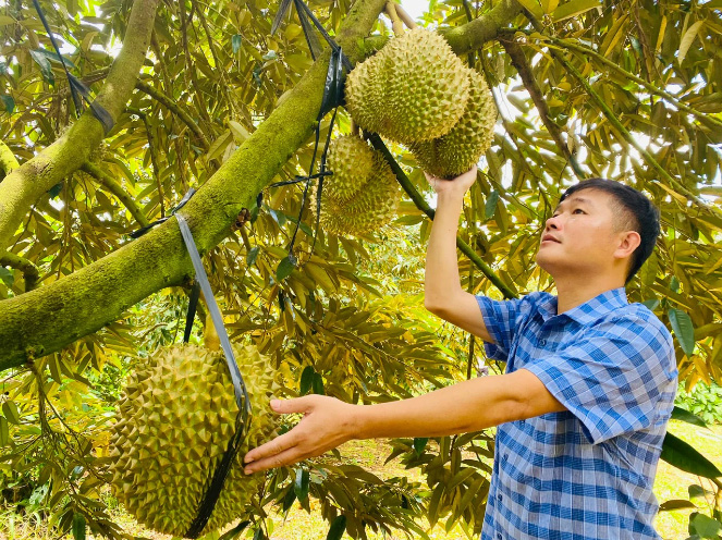 BIG DREAMS <br>FOR VIETNAMESE AGRI-PRODUCTS