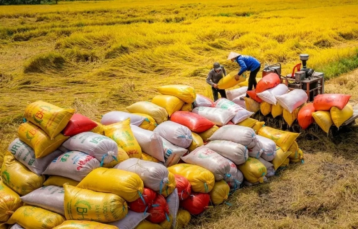 Rice prices peak, an opportunity for the export market in the second half of the year