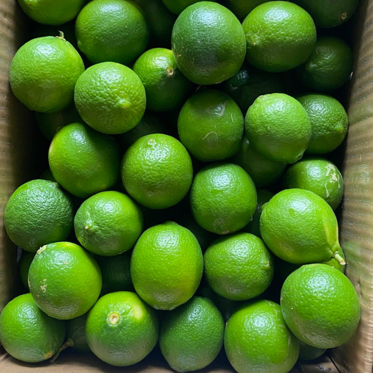 Seedless Lime