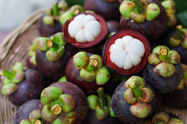 Mangosteen